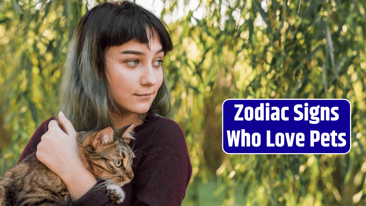 Top 3 Zodiac Signs Who Love Pet
